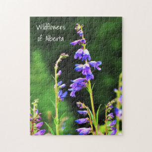 Puzzle De beaux Fleurs sauvages violets en fleurs au Cana