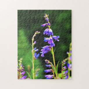 Puzzle De beaux Fleurs sauvages violets en fleurs au Cana