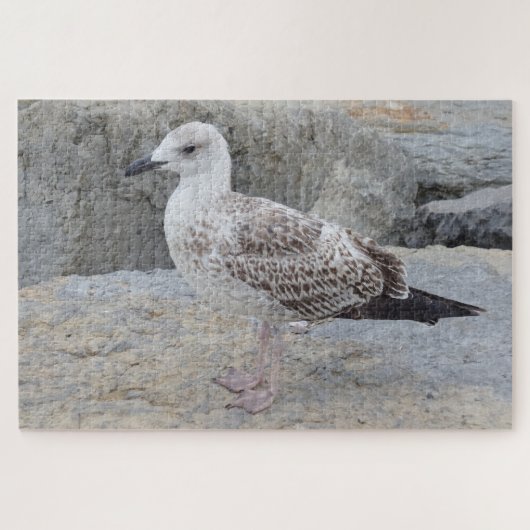 Puzzle de bébé goéland (Horizontal)