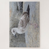 Puzzle de bébé goéland (Vertical)