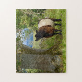 Puzzle de Beltie (Vertical)