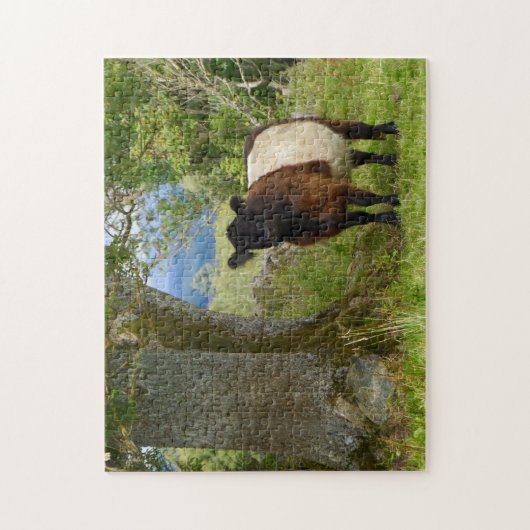 Puzzle de Beltie (Vertical)