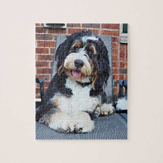 Puzzle de Berneoodle (Vertical)