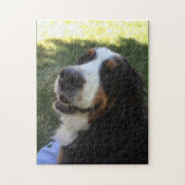 Puzzle de Bernese (Vertical)