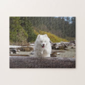 Puzzle de billes de coco (Horizontal)