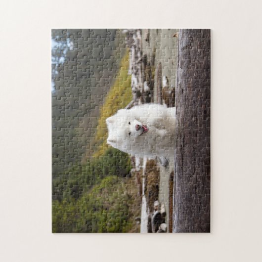 Puzzle de billes de coco (Vertical)