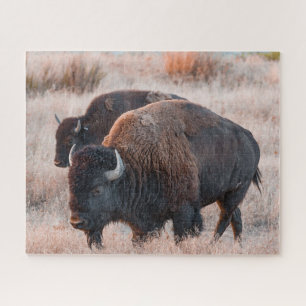 Puzzle de Bison
