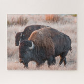 Puzzle de Bison Jigsaw (Horizontal)