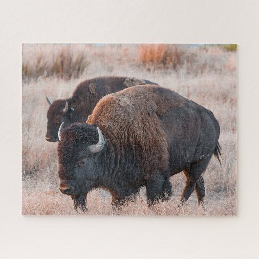 Puzzle de Bison Jigsaw (Horizontal)