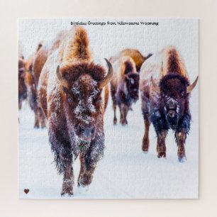 Puzzle de Bison Yellowstone Wyoming