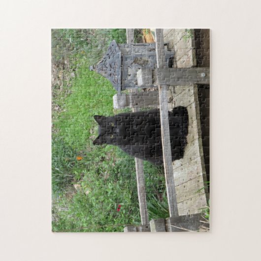 Puzzle de Black Cat Bridge (Vertical)