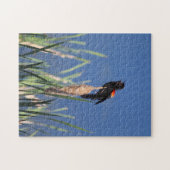 Puzzle de Blackbird à aile rouge (Horizontal)