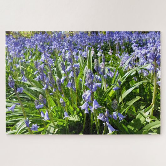Puzzle de Bluebells (Horizontal)