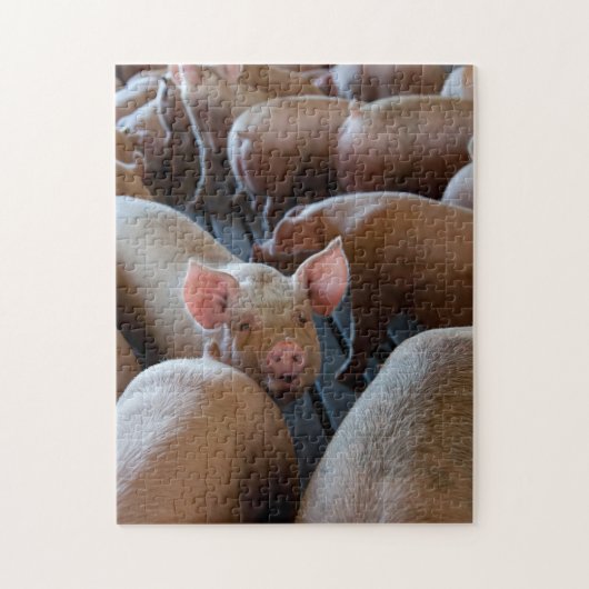 Puzzle De bons porcs sur une ferme de cochons (Vertical)