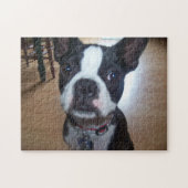 PUZZLE DE BOSTON TERRIER (Horizontal)