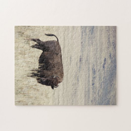 Puzzle de Buffalo (Horizontal)