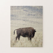 Puzzle de Buffalo (Vertical)