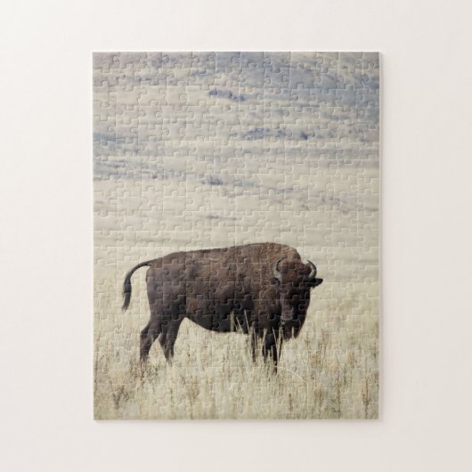 Puzzle de Buffalo (Vertical)
