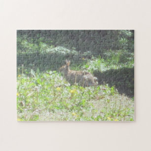 Puzzle de Bunny sauvage