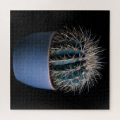 Puzzle de Cactus (Horizontal)