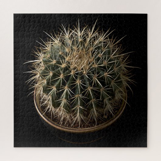 Puzzle de Cactus (Vertical)