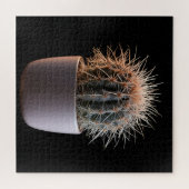 Puzzle de Cactus (Horizontal)