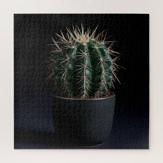 Puzzle de Cactus (Vertical)