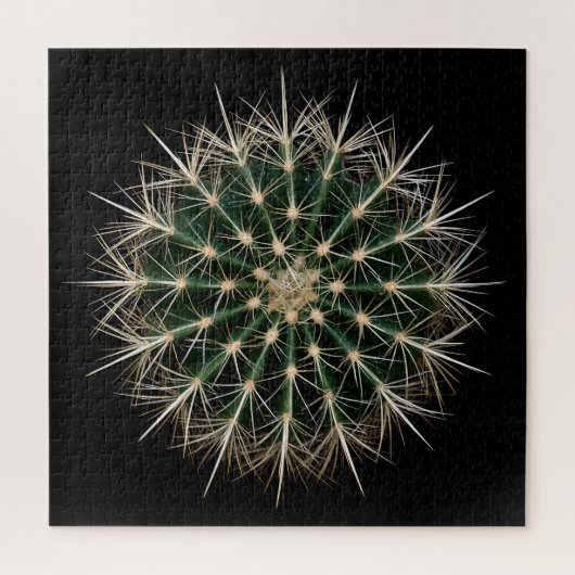 Puzzle de Cactus (Vertical)