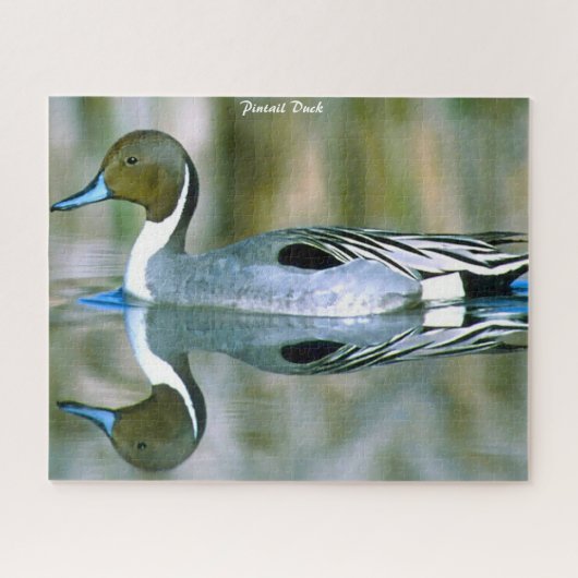 Puzzle de canard à queue pointue (Horizontal)