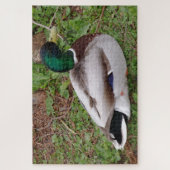 Puzzle de canard à tête verte (Vertical)