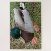 Puzzle de canard à tête verte (Vertical)