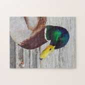 Puzzle de canard de Mallard (Horizontal)