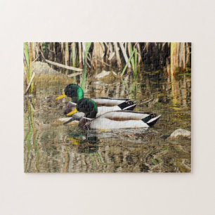 Puzzle de canards de Mallard