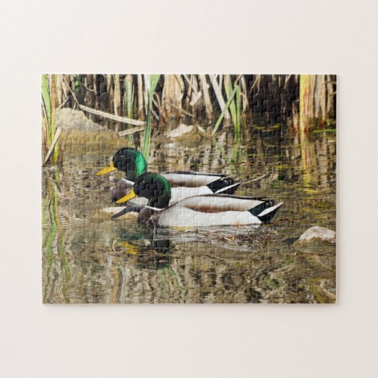 Puzzle de canards de Mallard (Horizontal)