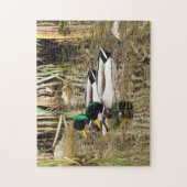 Puzzle de canards de Mallard (Vertical)