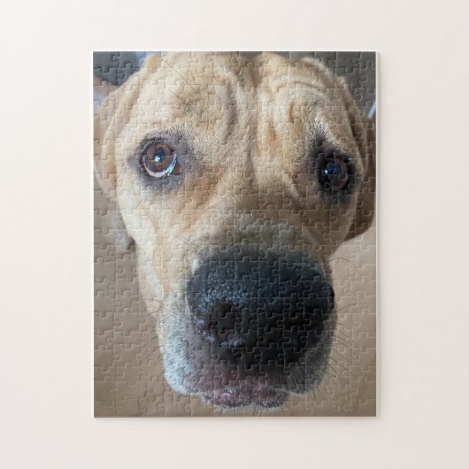 Puzzle de Cane Corso (Vertical)
