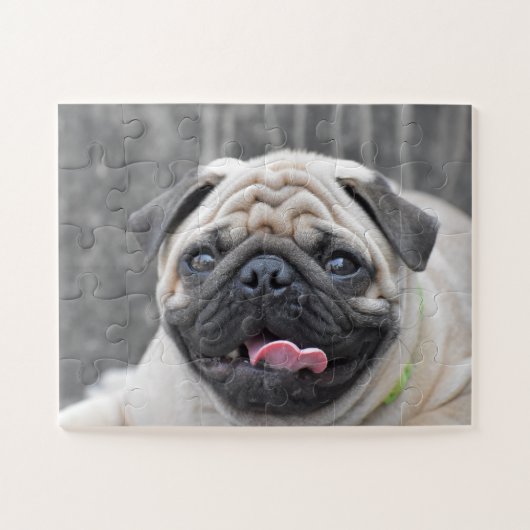 Puzzle de carlin (Horizontal)