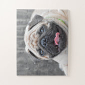 Puzzle de carlin (Vertical)