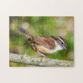 Puzzle de Carolina Wren (Horizontal)