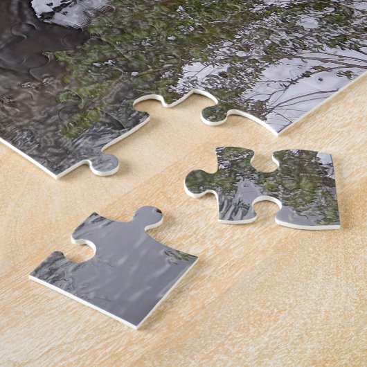 Puzzle de Central Park (Côté)