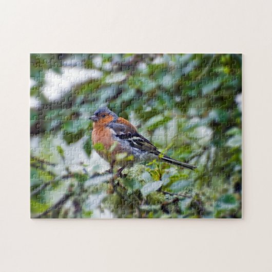 Puzzle de Chaffinch (Horizontal)
