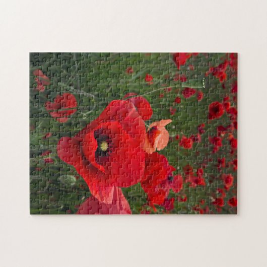 Puzzle de champ de pavot/puzzle (Horizontal)