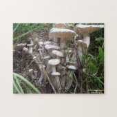 Puzzle de champignon (Horizontal)