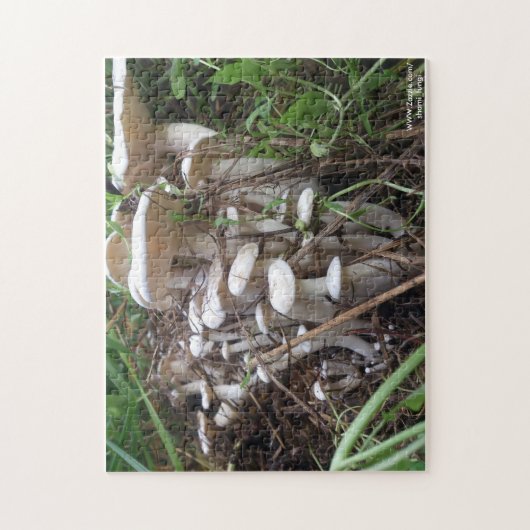 Puzzle de champignon (Vertical)