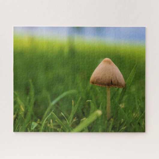 Puzzle de champignons très difficile (Horizontal)