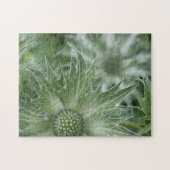 Puzzle de chardons (Horizontal)