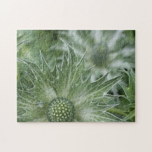 Puzzle de chardons (Horizontal)