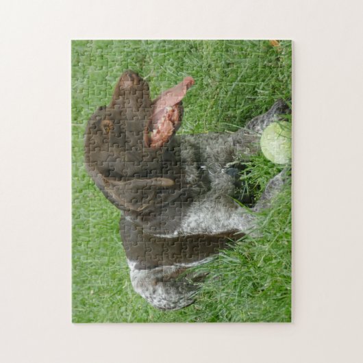 Puzzle de Charlie (Vertical)