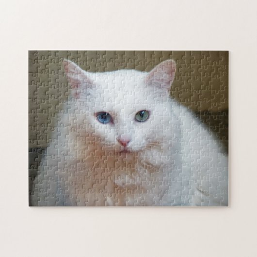 Puzzle de chat blanc (Horizontal)