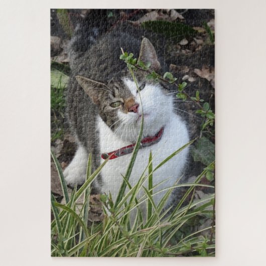 Puzzle de chat blanc gris mou (Vertical)
